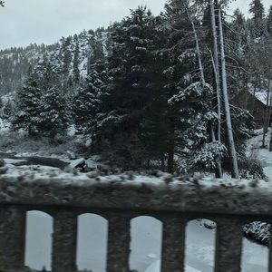 Meet your Posher, Patti